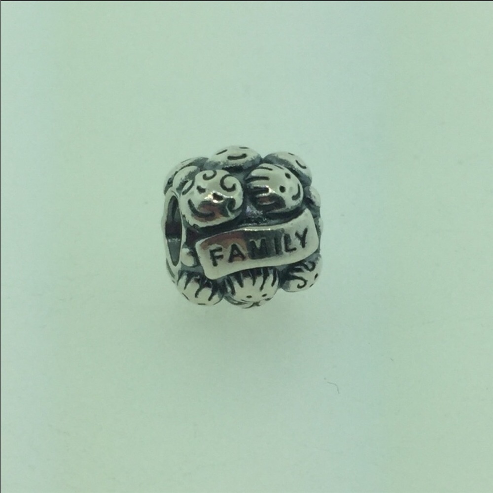 Pandora love and family silver charm 791039